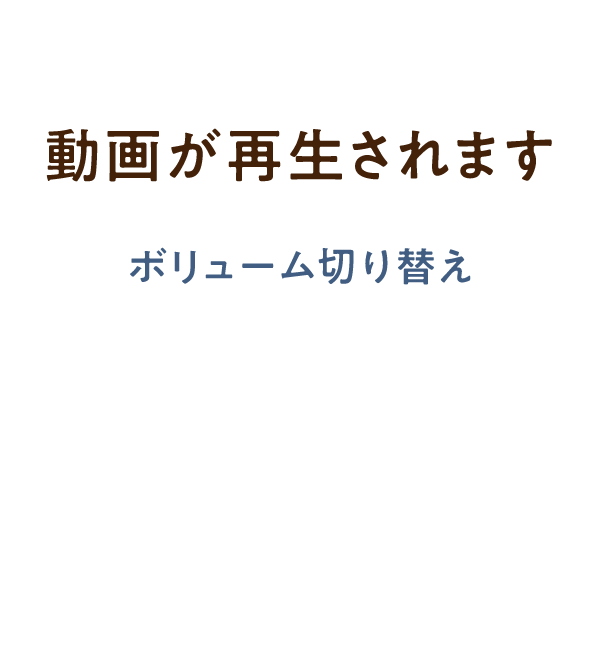 動画が再生されます ボリューム切り替え