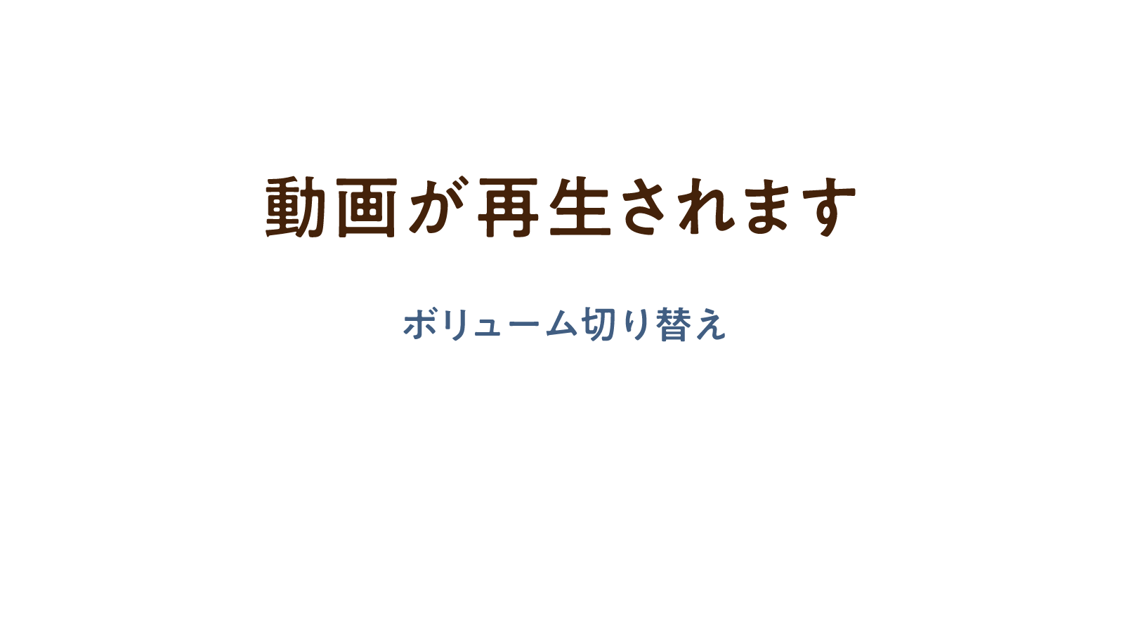 動画が再生されます ボリューム切り替え